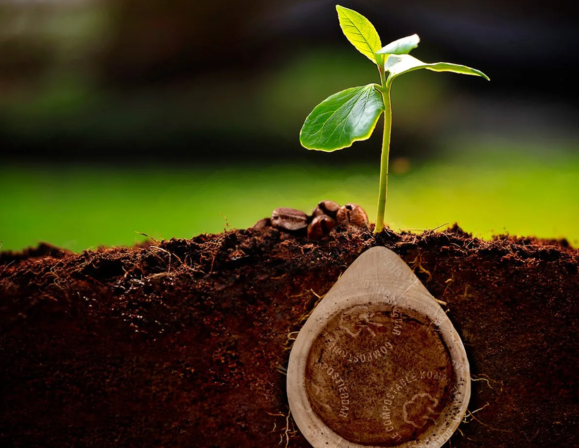Cialda compostabile - Caffè Borbone