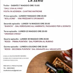Corso sul vino Slow Food Vesuvio