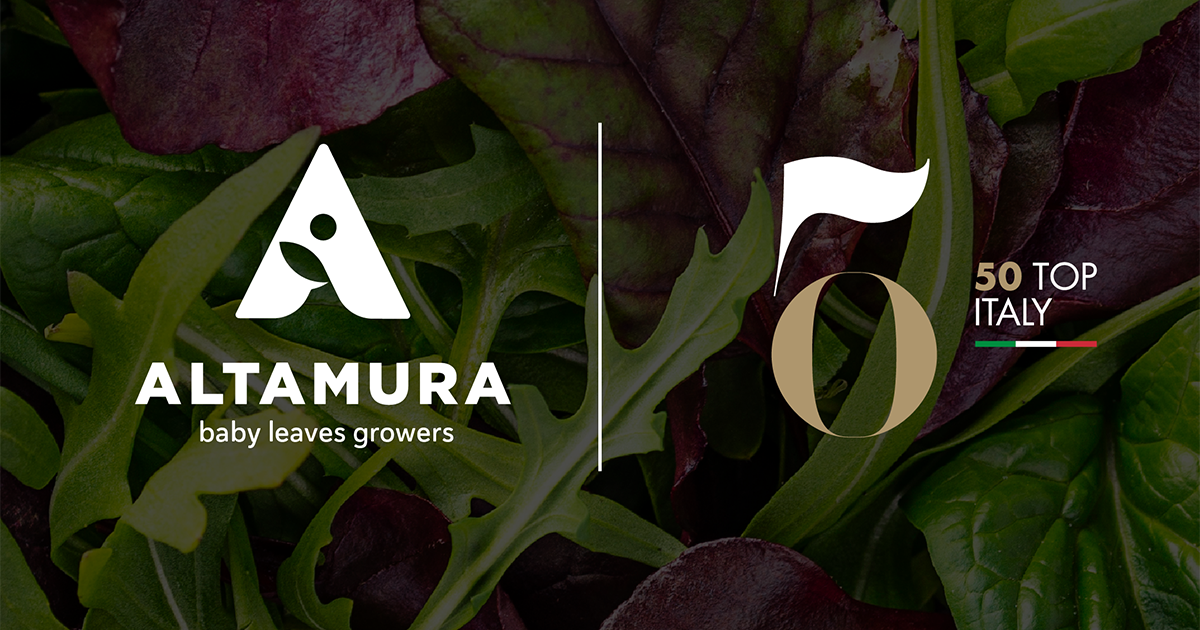 Altamura OP e 50 Top Italy