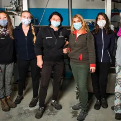 Le donne del frantoio