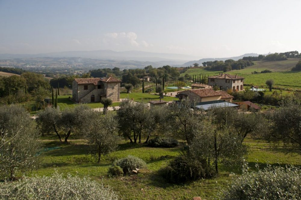 Passo della Palomba Ulivi