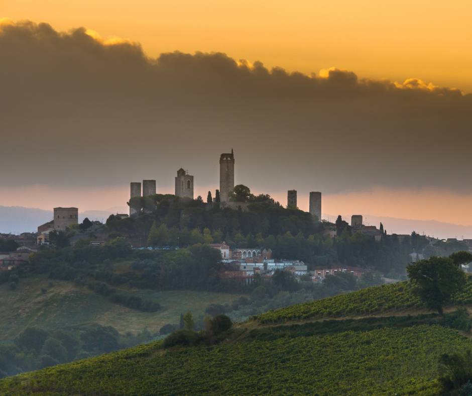 Vernaccia di San Gimignano