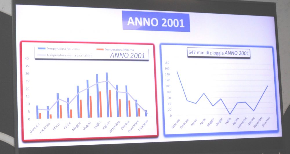 Annata 2001