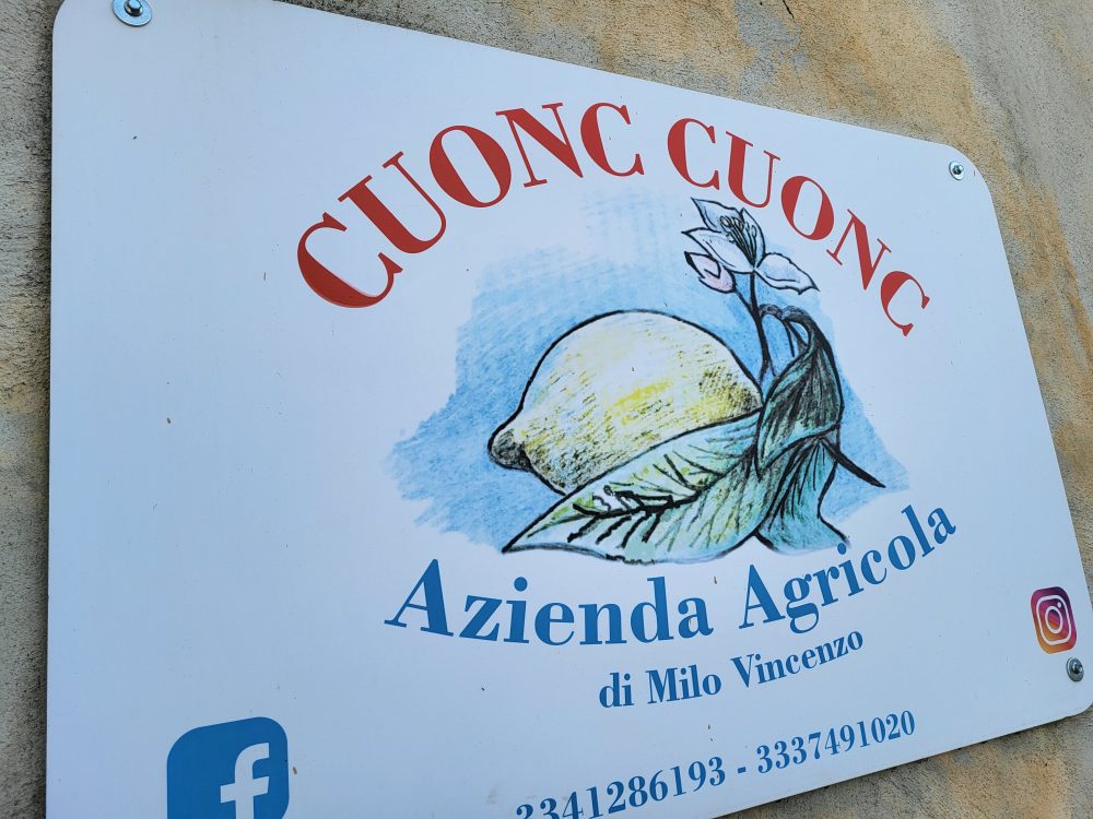 CUONC CUONC - L'Azienda Agricola