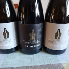 Vini Sant'Agostino