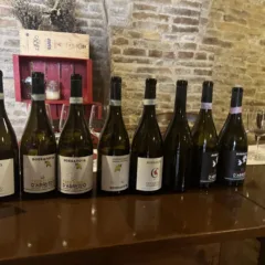 Abruzzo WineExperience