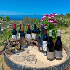 Concours mondial de bruxelles- accoglienza in cantina