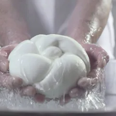 Il Fiordilatte di Latteria Sorrentina