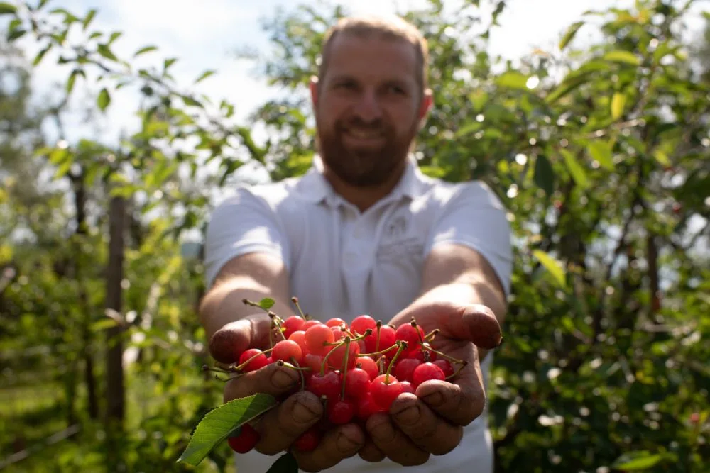Mario Persico e le amarene dei colli di San Pietro