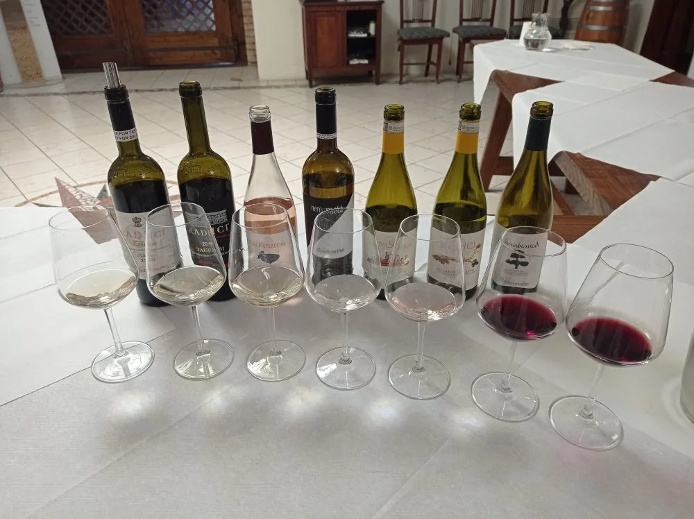 Mastroberardino Vini assaggiati