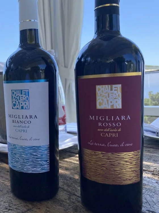 Migliara Bianco e Migliara Rosso Chalet Azzurro