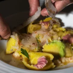 Olivia - Raviolo