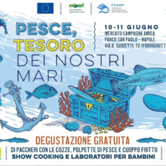 Pesce, tesoro dei nostri mari