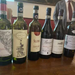 San Casciano Classico