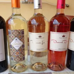 Vini Casa Vinicola Errico Tenuta Villa dei PIni