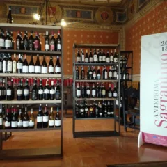Vini in Degustazione