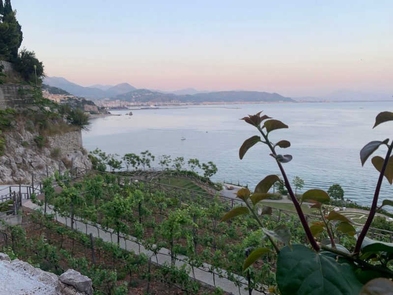 Giardini del Fuenti, panorama