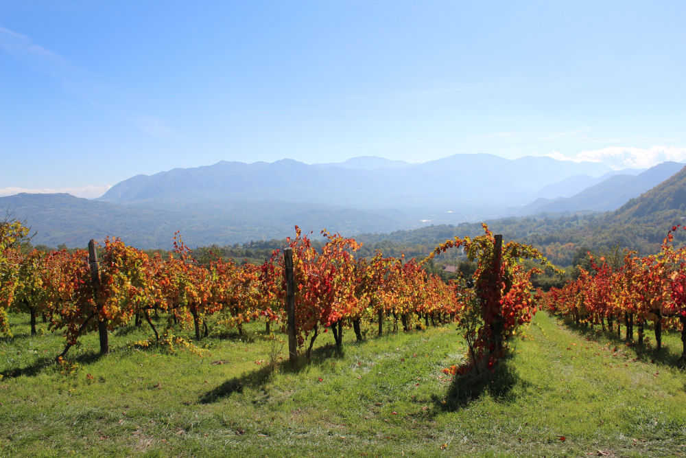 Di Meo - Montemarano