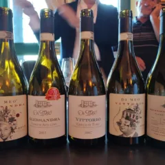 Di Meo - Linea Tempo