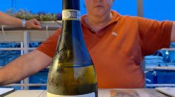 Alessandra Fiano di Avellino 2013