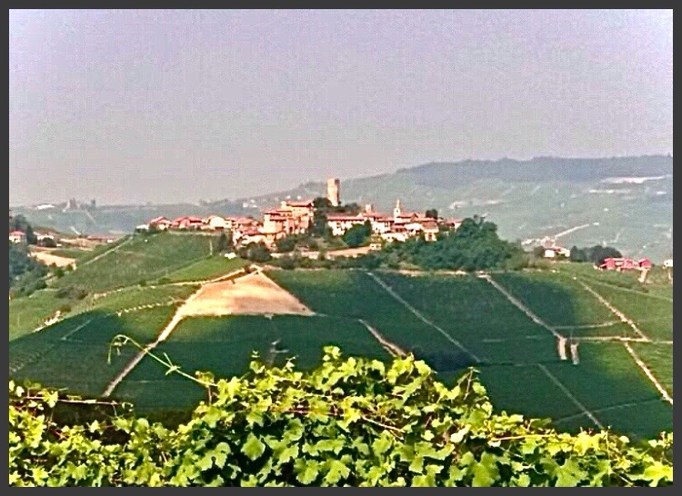 Castiglione Falletto, Langhe - Panorama