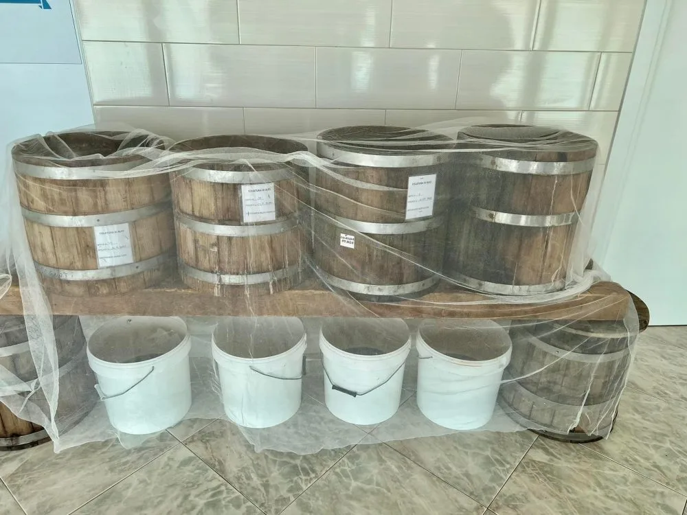 Colatura di alici in spillatura