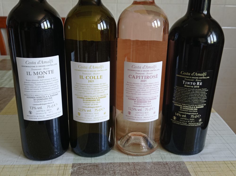 Controetichette vini Cantine Ida Giordano