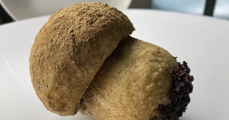 It's not a Mushroom di Simone De Siato