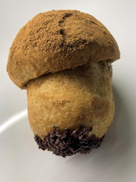 It's not a Mushroom - Simone De Siato