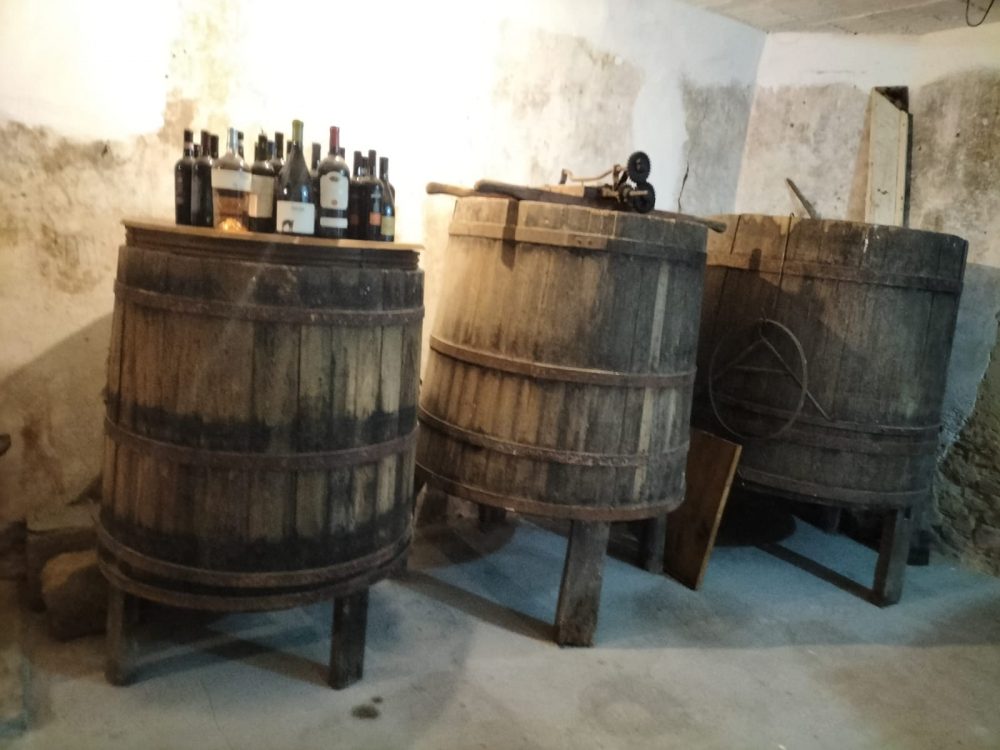 Genuini Cilento - vecchie botti e nuovi vini