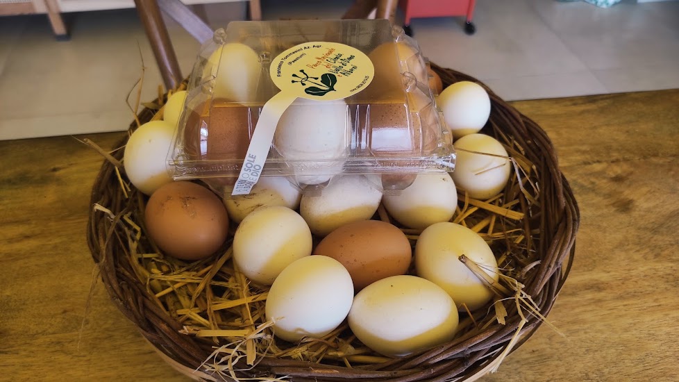 La Madia Azienda Agricola Tommasini -Le uova