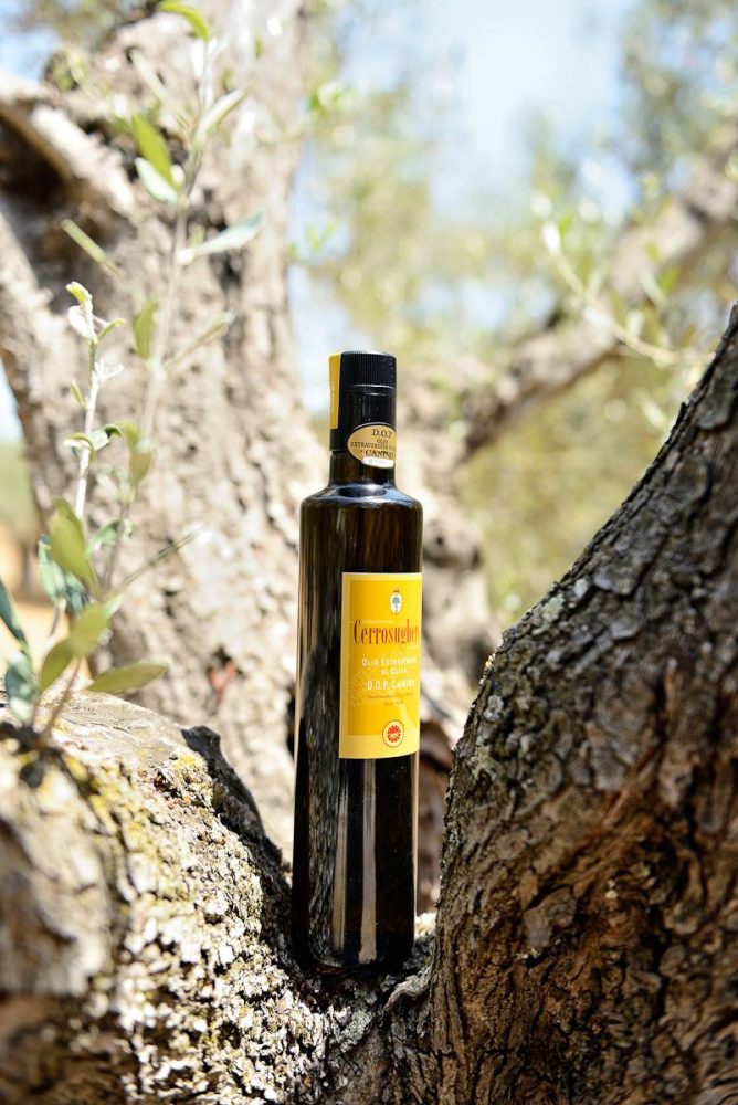 Olio Dop Cerrosughero bottiglia