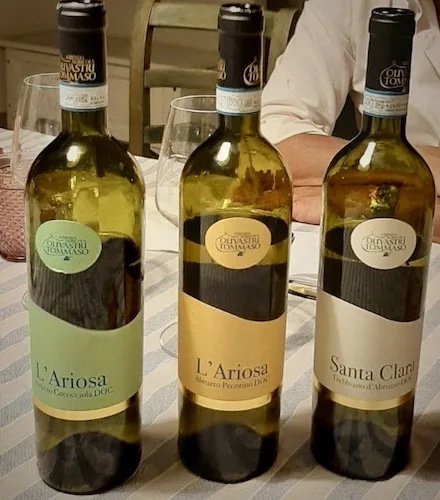 Olivastri Pecorino Cococciola