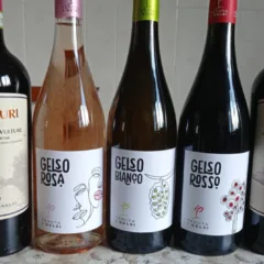 Vini Tenuta I Gelsi