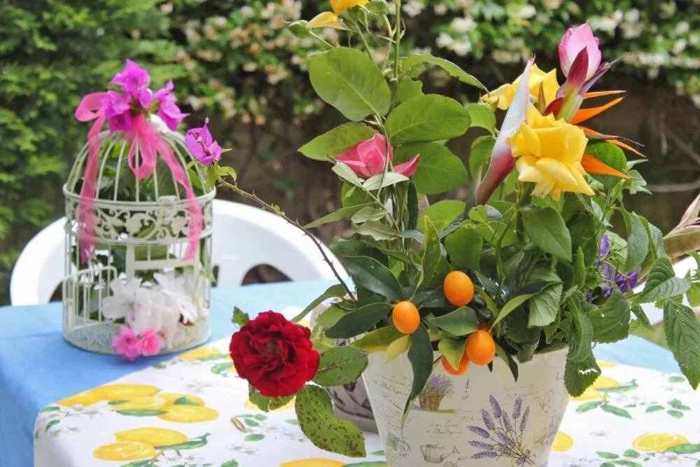 Apericena- centrotavola