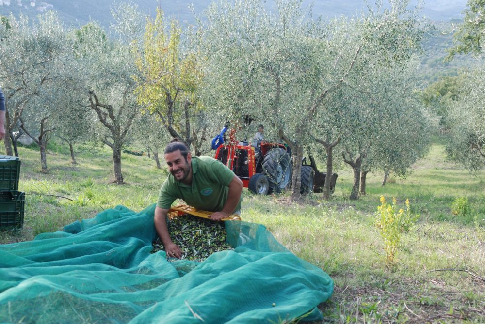 Az Agricola Marco Rizzo