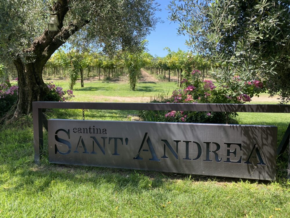 Cantina Sant’Andrea