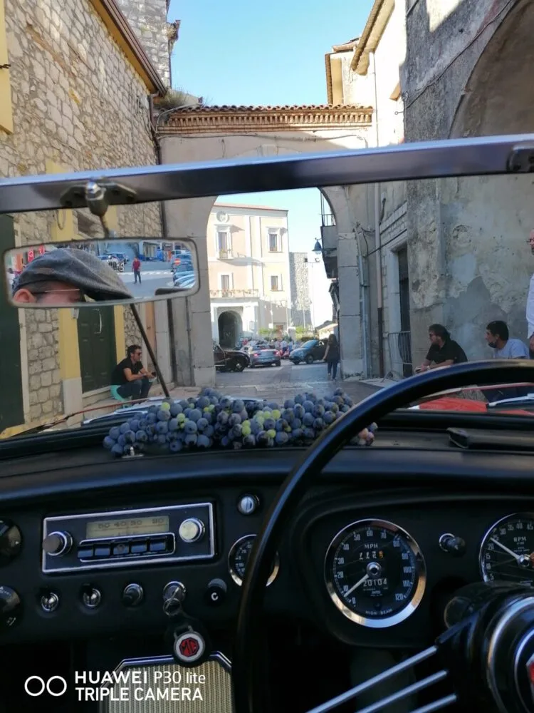 Scoperta in Vigna 2022