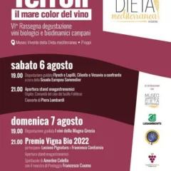 Il mare color del vino a Pioppi