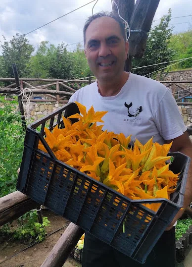 Lo Stuzzichino - FIORI DI ZUCCA APPENA COLTI