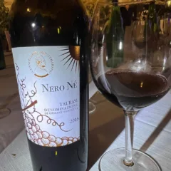 NeroNe 2016 Il Cancelliere