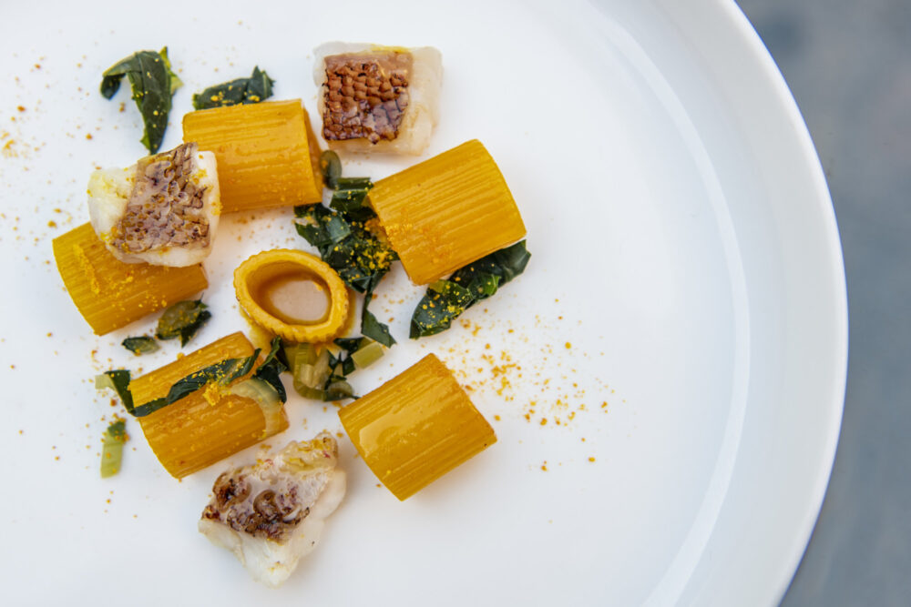 Signum - Mezzo rigatone con scorfano, zafferano, arancia e cicoria