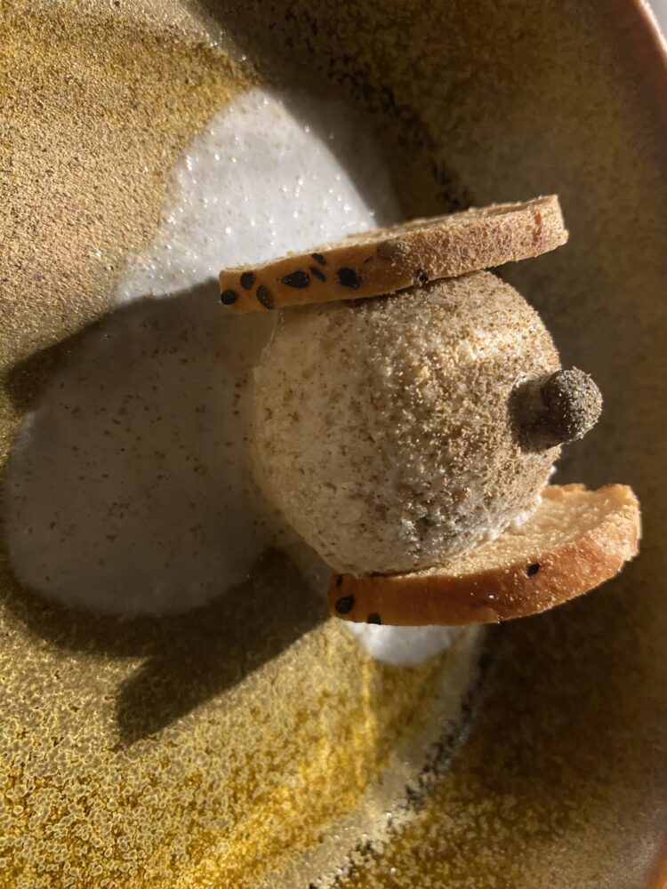 Signum - granita al cappero