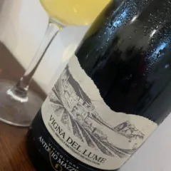 I vini d'Ischia di Antonio Mazzella