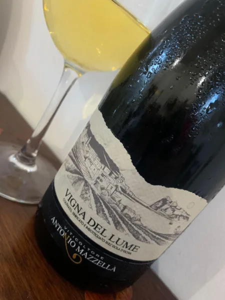 I vini d'Ischia di Antonio Mazzella