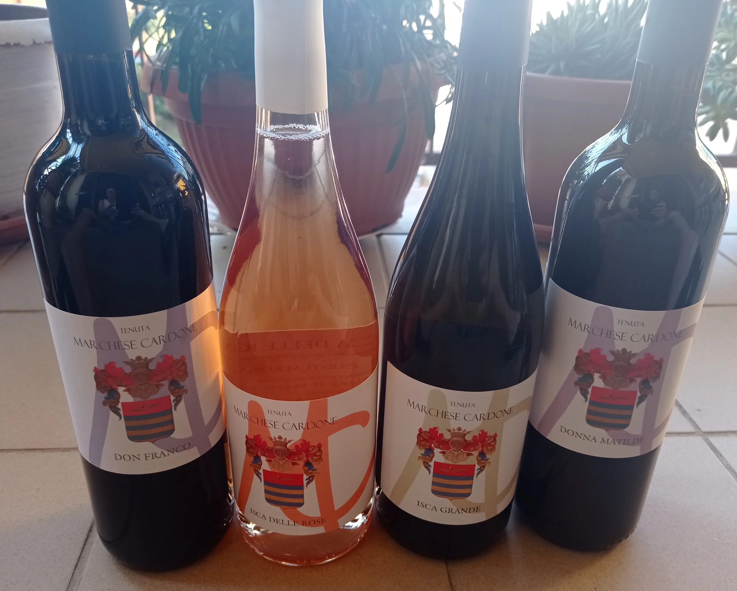 Vini Tenuta Marchese Cardone