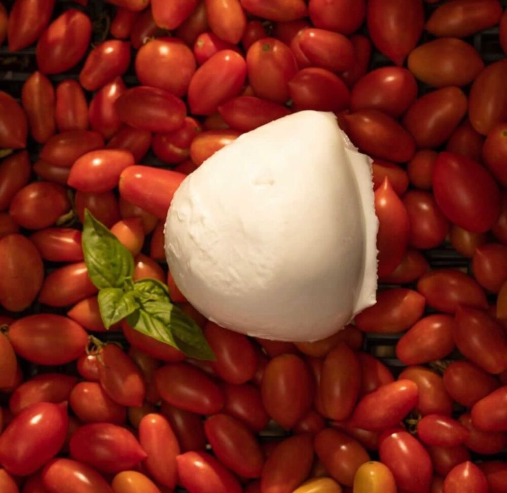 La mozzarella di bufala di Nonna Pitta