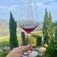 Rossese di Dolceacqua