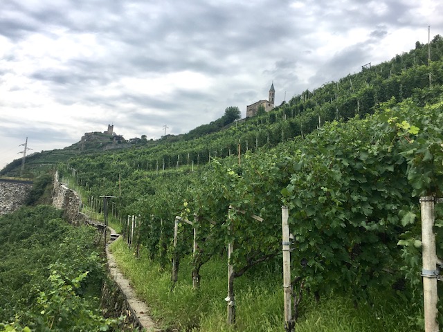 Il castello di Grumello visto dalla Vigna Sassina