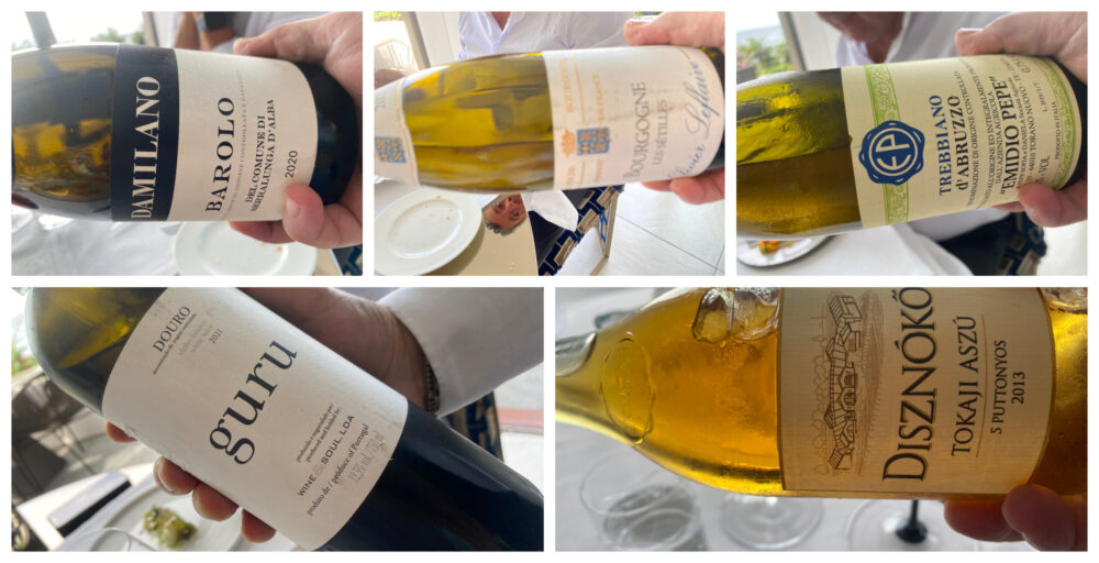 Torre del Saracino - vini